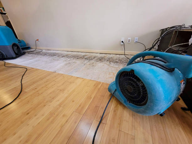 Professional Burst Pipe Water Damage technician working in Alpine, AL